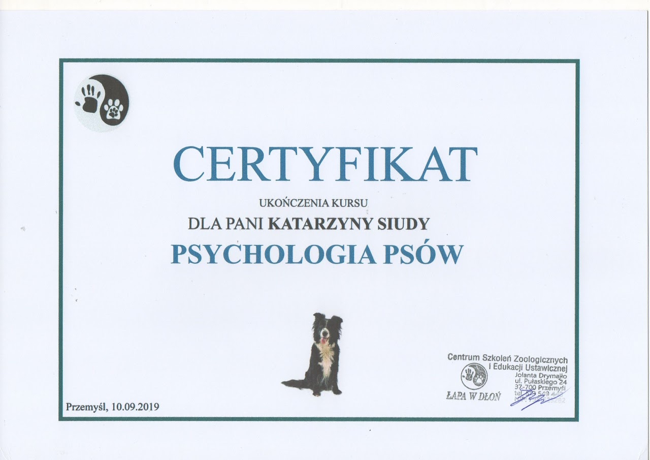 Certyfikat #14